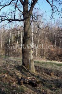 Dobrá Voda u Horní Stropnice, kříž